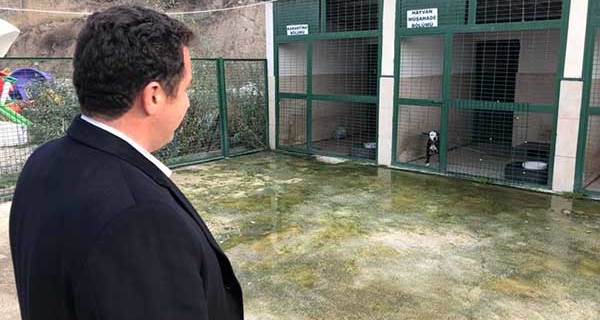 Başkan Bakıcı hayvan barınağını ziyaret etti