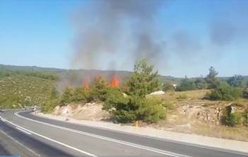 Bilecik’Te Ormanlık Alanda Yangın: 1 Kişi Gözaltına Alındı
