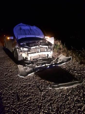 Domuza Çarpan Otomobil Sürücüsü Yaralandı

