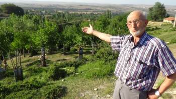 Emekli Memur, Köy Arazisine 500’E Yakın Meyve Fidanı Dikti
