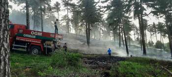 Emet’Te Yıldırım Düşmesi Sonucu Çıkan Orman Yangını Büyümeden Söndürüldü
