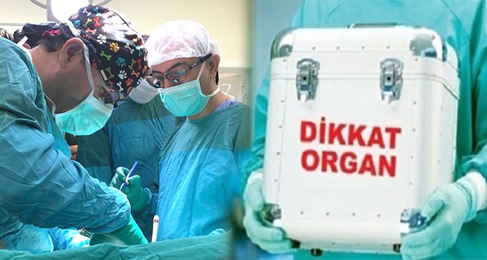 Eskişehir'de 6 ayda 11 organ nakli
