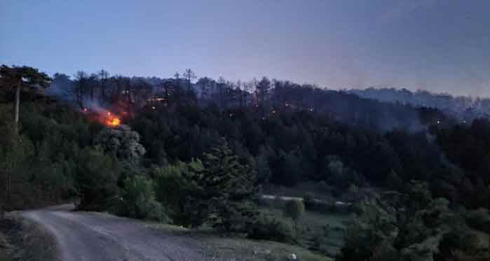 Eskişehir'de alevler geceyi aydınlattı