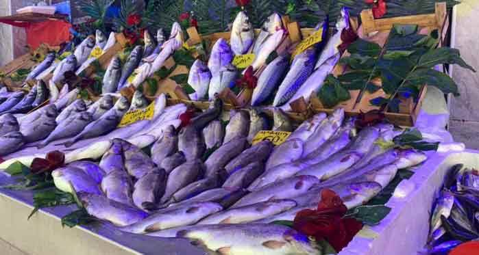Eskişehir'de balık severlere güzel haber
