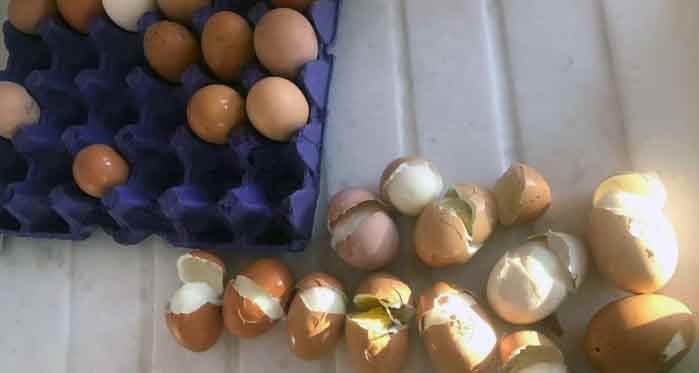 Eskişehir'de bu yumurtaları alanlar şok oldu!