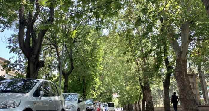 Eskişehir'de görenleri büyüleyen sokak
