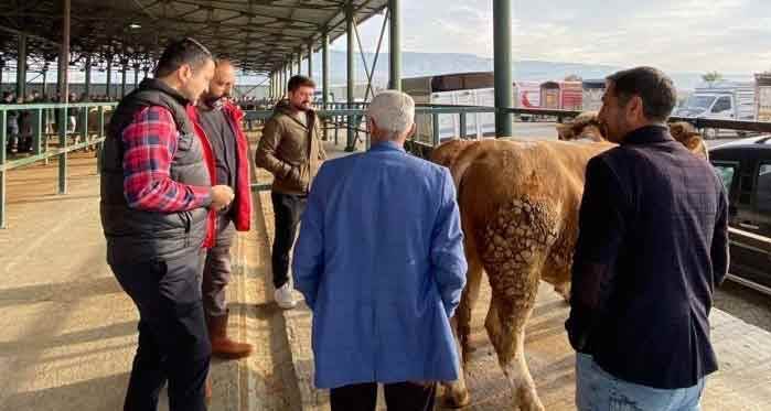 Eskişehir'de hayvan pazarına yoğun ilgi, fiyatlar düştü