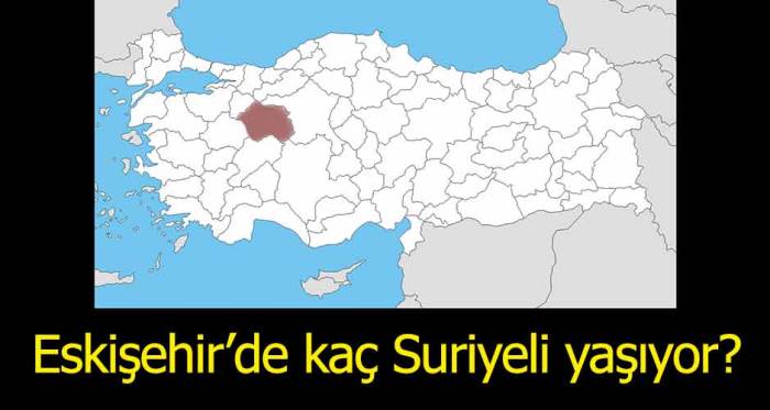 Eskişehir'de kaç Suriyeli yaşıyor?