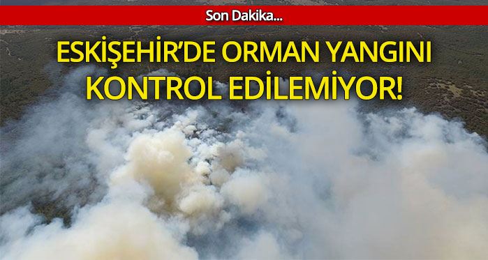 Eskişehir'de orman yangını kontrol edilemiyor!