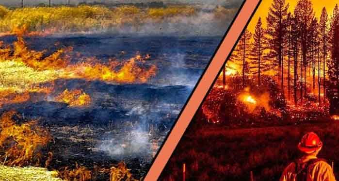 Eskişehir'de orman yangını uyarısı