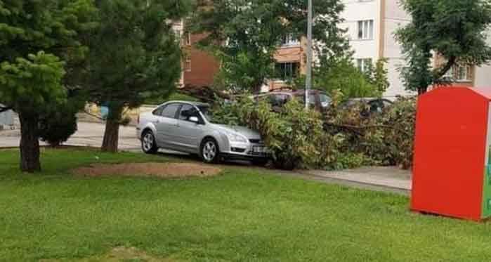 Eskişehir'de otomobilin üzerine ağaç devrildi