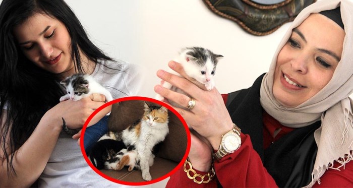Eskişehir'de süt annesi kedi hayrete düşürdü!
