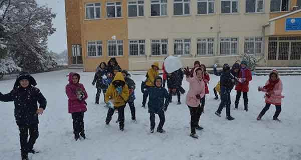 Eskişehir'de üç ilçede kar tatili