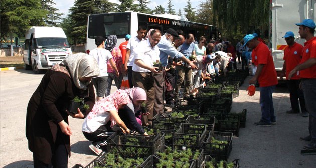 Eskişehir'de vatandaşlara on binlerce çiçek!