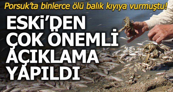 Eskişehir'deki balık ölümleri ile ilgili flaş açıklama