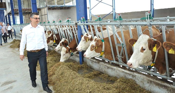 Eskişehir’e modern süt tesisleri kuruluyor 