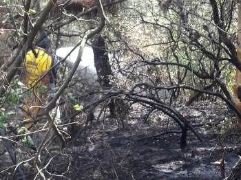 Gelibolu’Daki Yangın Söndürme Çalışmalarına Katılan Şuhut Ekibi İlçeye Döndü
