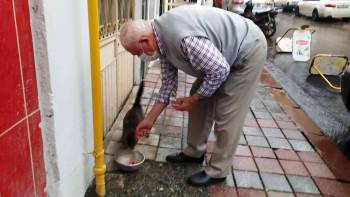 Hisarcık’Ta Sokak Hayvanlarının Dostu Gurbetçi Vefat Etti
