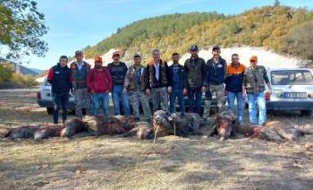 Hisarcıklı Avcılar 2 Saatte 11 Yaban Domuzu Vurdu
