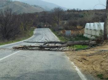 İnhisar-Eskişehir Karayolu Devrilen Ağaç Yüzünden Bir Süre Ulaşıma Kapandı
