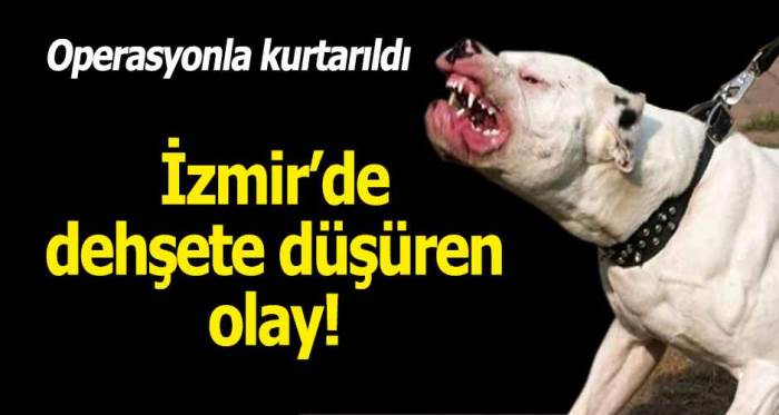 İzmir'de dehşet veren olay!