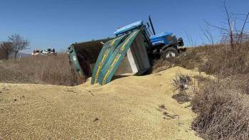Kamyon Traktöre Çarptı, Bir Römork Arpa Yola Ve Tarlaya Saçıldı
