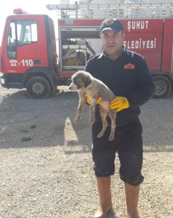 Kanalizasyon Borusuna Sıkışan Yavru Köpeği İtfaiye Ekipleri Kurtardı
