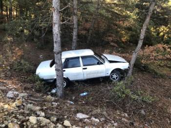 Kontrolden Çıkan Otomobil Ağaçlara Çarparak Durabildi, 1 Kişi Yaralandı
