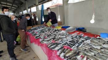 Korona Virüs Balık Satışlarını Arttırdı
