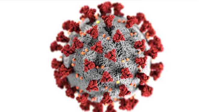 Koronavirüs vaka sayıları 20 bin 33