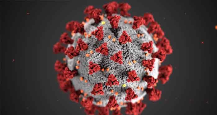 Koronavirüs vaka sayıları 65 binin üzerine çıktı