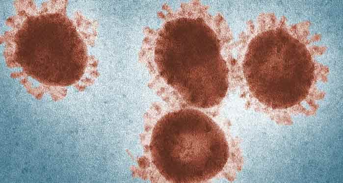 Koronavirüs vaka sayılarında son durum açıklandı
