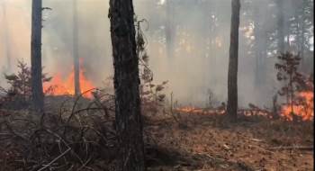 Kütahya-Balıkesir Sınırında Orman Yangını
