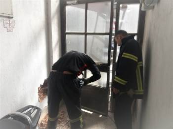 Kütahya’Da İki Bina Arasına Sıkışan Yavru Köpek Kurtarıldı
