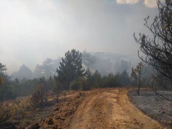 Kütahya’Daki İkinci Orman Yangını Sürüyor

