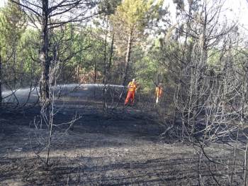 Kütahya’Daki Orman Yangını Kontrol Altına Alındı
