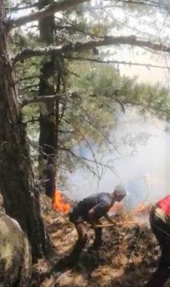 Kütahya’Daki Orman Yangını Kontrol Altına Alındı
