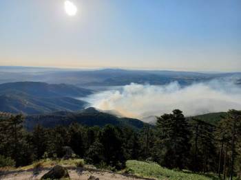 Kütahya’Daki Orman Yangınına Havadan Ve Karadan Müdahale Sürüyor
