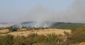 Kütahya’Daki Orman Yangınında 1 Hektarlık Alan Yandı

