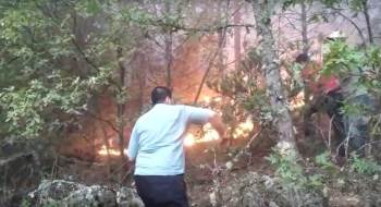 Kütahya’Daki Orman Yangınında 3 Hektarlık Alan Yandı
