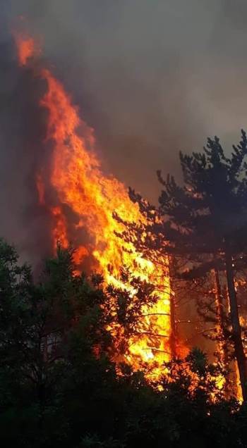 Kütahya’Daki Orman Yangınını Söndürme Çalışmaları Sürüyor
