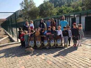 Minik Anaokulu Öğrenciler Köpek Barınağını Ziyaret Etti
