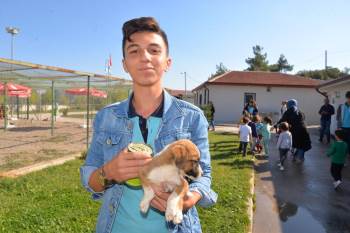 Öğrencilerden Sokak Hayvanları Tedavi Merkezine Ziyaret
