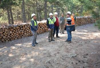 Orman Bölge Müdürü Keskin: "Üretimde Öncelik Kalitedir"
