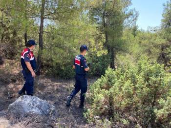 Orman Yangınlarına Karşı Jandarma Ekipleri Teyakkuza Geçti

