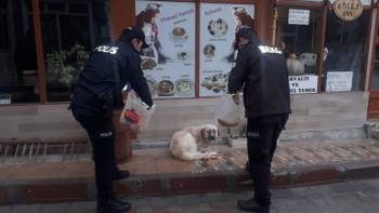 Polisler Sokak Hayvanlarını Elleriyle Besledi
