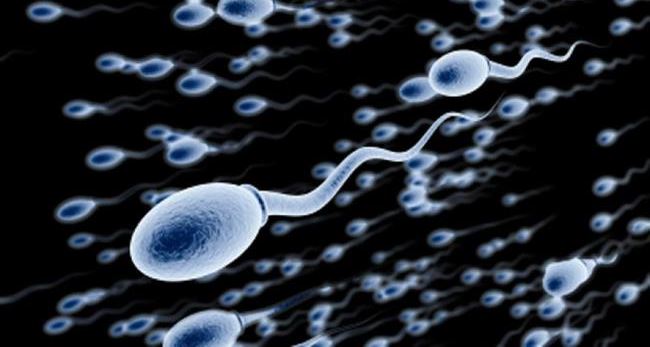 Spermin kadınlara bir faydası daha ortaya çıktı