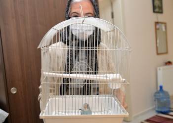 Vefa İletişim Merkezini Arayıp Muhabbet Kuşu İstedi
