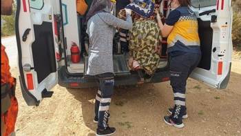 Yaralı Domuzun Saldırısına Uğrayan Kadın Yaralandı

