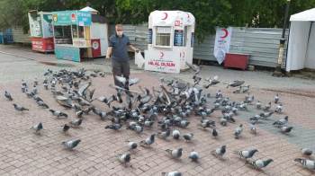 Yiyecek Bulmakta Güçlük Çeken Güvercinleri Muhabirler Yemledi

